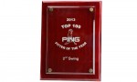 2nd Swing Golf wins PING's national 2013 Top 100 Fitter of the Year award.