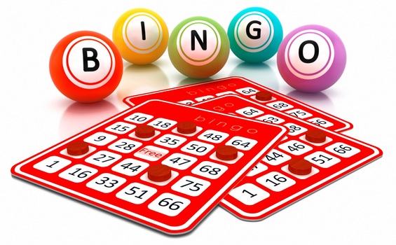 Let's Play Bingo Bango Bongo!
